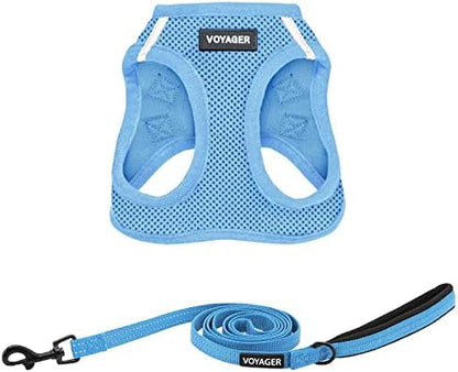 Best Pet Supplies Voyager Step-in Air All Weather Mesh Harness and Reflective Dog 5ft Leash Combo with Neoprene Handle, for Small, Medium and Large Breed Puppies - Baby Blue, Medium