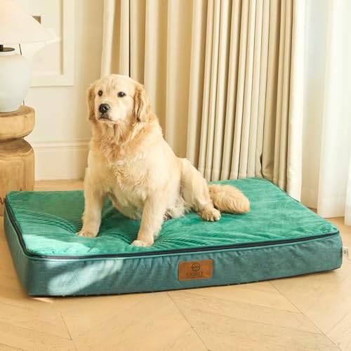 LIORCE Orthopedic Memory Foam XXL Dog Bed - 6" Thick Beds for Extra Large Sized Dog - Waterproof Removable Washable Cover & Wrap-Around Zipper - Ultimate Comfort & Easy Maintenance, Green