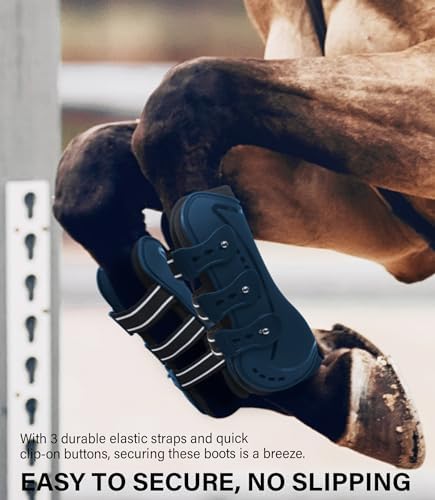 4/Pack Horse Jumping Boots, Open Front & Fetlock Boots for Jumping