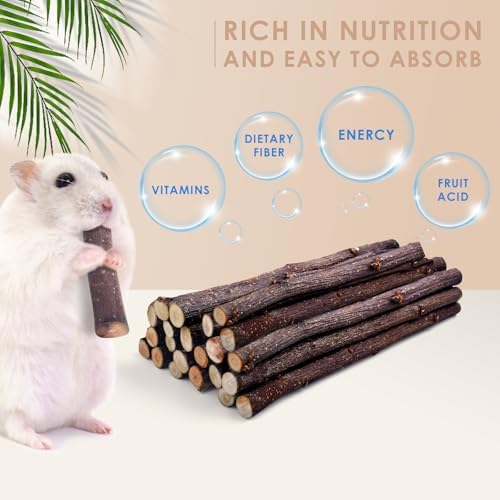 Bissap 120g/4.2oz Natural Apple Wood Sticks, Molar Chew Toys for Small Pet