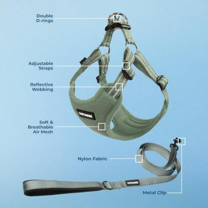 Best Pet Supplies Voyager Adjustable Step-in Flex Breathable Mesh Dog Harness for Small Medium Large Dogs Leash Set (Moss Green), XL