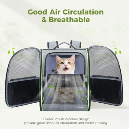 Lekereise Cat Backpack Carriers, Dog Carrier Backpacks with Breathable Mesh for Small Medium Cats Dogs Puppy Up to 18 Lbs, Pet Foldable Carrying Backpack Ventilated for Travel Hiking Collapsible