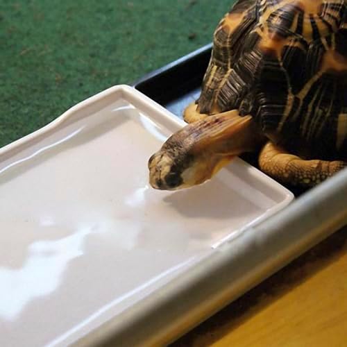 OMEM Reptile Bowl Large Food and Water Dish Enough Space Also Fit for Bath Simulated Wood Grain Surface (L, White)