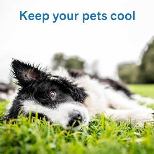 The Green Pet Shop Cool Pet Pad - Medium, Blue - Self-Cooling, Pressure Activated Mat for Dogs & Cats from 21-45 lbs - Non-Toxic Gel, No Water Needed