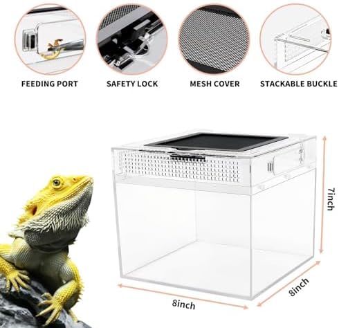 Reptile Growth mini Reptile Terrarium,8" x 8"x 8" Reptile Tank with Full View Visually Appealing，for Insect，Fish，Tarantula，Hermit Crab，Jumping Spider，Iguana，Tortoise，Leopard Gecko，Frog，Bearded Dragon