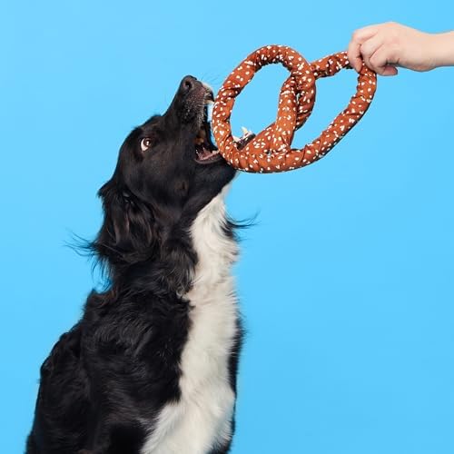 BarkBox Paula's Park Slope Pretzel Dog Toy - for Medium Dogs