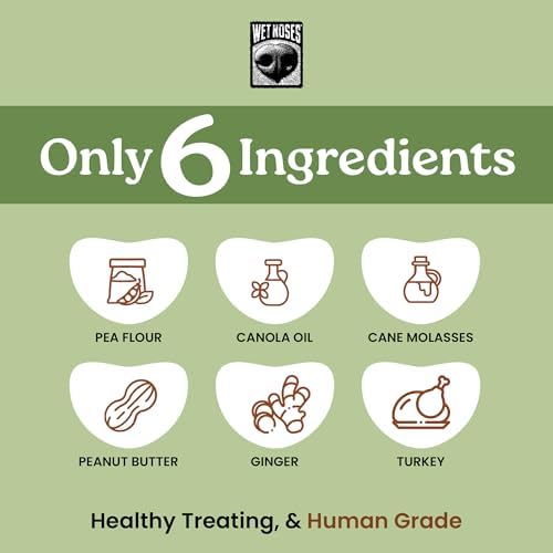 Wet Noses Organic Crunchy Dog Treats – All-Natural, Human-Grade, Non-GMO, Healthy Training & Delicious Snacks for Dogs, for All Dog Sizes & Breeds – Grilled Turkey, 14oz (2 Pack)