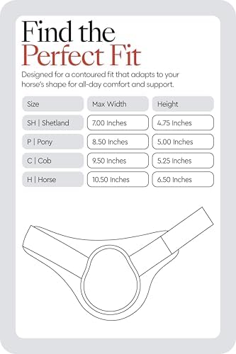 HORZE Chicago Rear Fetlock Boots for Horses, Horse Tendon Boots