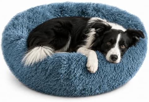 Whiskers & Friends Round Dog Beds for Medium Dogs, Orthopedic, Washable