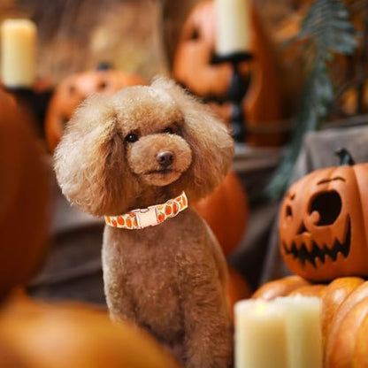 Dog Collars, Halloween Pet Collar Fall Pumpkin Print Pet Collars Durable Metal Collar Cute Puppy Collar Boy Girl Collars Adjustable for Medium Dogs