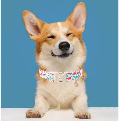 Summer Dog Collar, Adorable Dinosaur Cotton Dog Collar with Quick Release, Gift Dino Collars for Small Medium Large Boys Dogs Cute Durable Comfortable Pet Collars