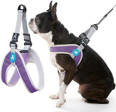 Gooby Simple Step-in III Dog Harness, Purple, Large