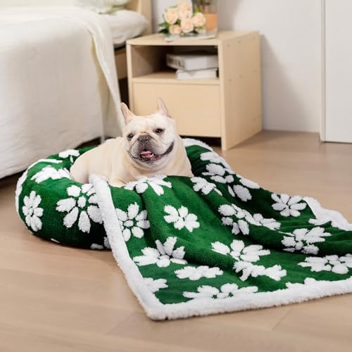 Round Cat Beds for Indoor Cats, Small Donut Dog Beds, Green, 20"