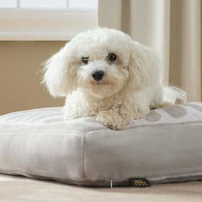 Town & Country Luxe CuddleTown Matisse Everwash® Pillow Pet Bed, Water Repellent Floor Pillow, Machine Washable Cover, Soft & Calming, Taupe, Small 28"x22"x4"