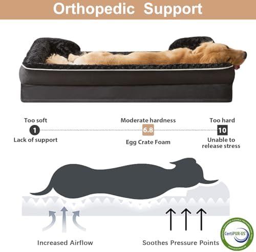 WNPETHOME Orthopedic Washable XL Dog Bed for Senior Dog Cozy Sleep