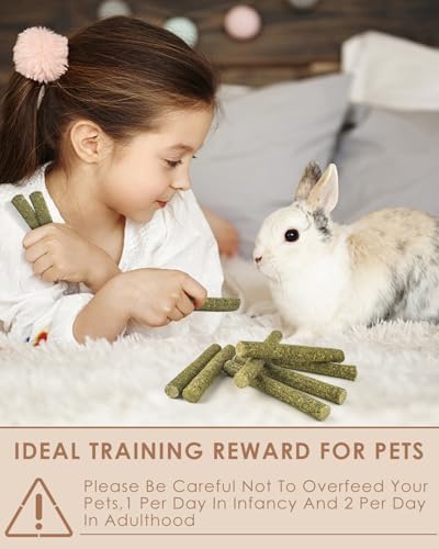 Bissap 25PCS Timothy Hay Sticks, Natural Molar Chew Treats for Small Pets