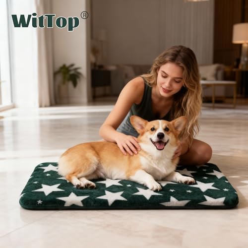 Dog Crate Pad Washable Cat Dog Pet Bed for Crate kennel Small Mat 24inGreen