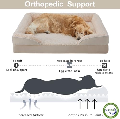 WNPETHOME Orthopedic Washable Dog Bed Large for Senior Dog Cozy Sleep