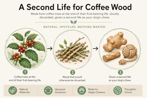 Natural Coffee Wood Slow Chew Dog Toys, 4 Pack, S-M