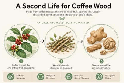 Natural Coffee Wood Slow Chew Dog Toys, 4 Pack, L-XL