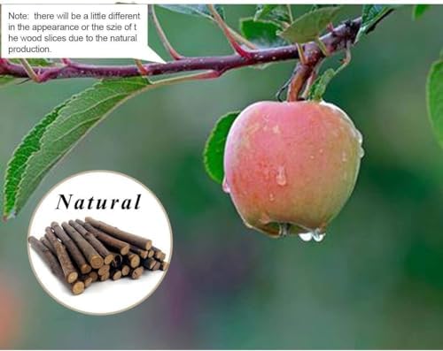 William Craft 100g Apple Sticks Small Animals Molar Wood Toys for Rabbits Chinchillas Guinea Pig Hamster Gerbil Parrot Bunny and Small Animals Chew Stick Treats