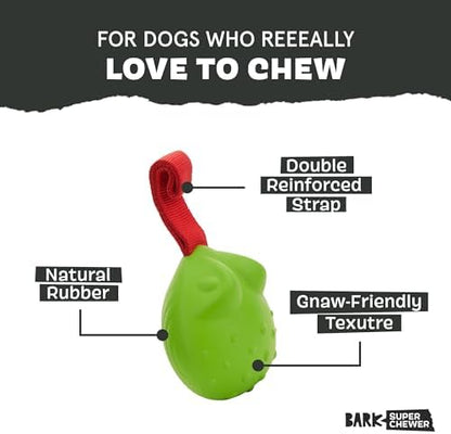 BarkBox Tug Tied Toad Dog Toy - for Large Dogs