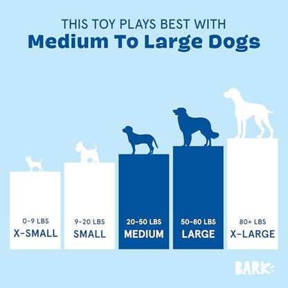 BarkBox Lion Fish Larry Dog Toy - for Medium to Large Dogs