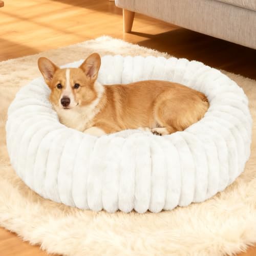 Washable Small Cat Dog Bed,Puppy Bed Cat Beds for Indoor Cats(White,M)