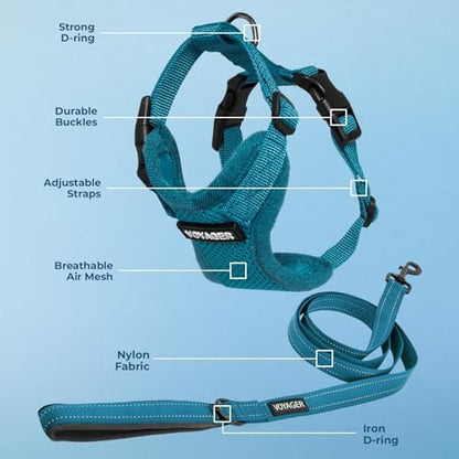 Best Pet Supplies Voyager Step-in Lock Pet Harness w Reflective Pet Leash Combo Set with Neoprene Handle 5ft - Supports Small, Medium and Large Breed Puppies/Cats - Turquoise Set, L
