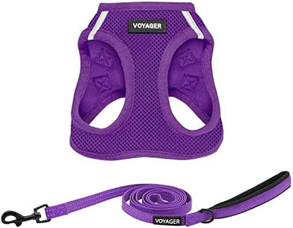 Best Pet Supplies Voyager Step-in Air All Weather Mesh Harness and Reflective Dog 5ft Leash Combo with Neoprene Handle, for Small, Medium and Large Breed Puppies - Purple, X-Small