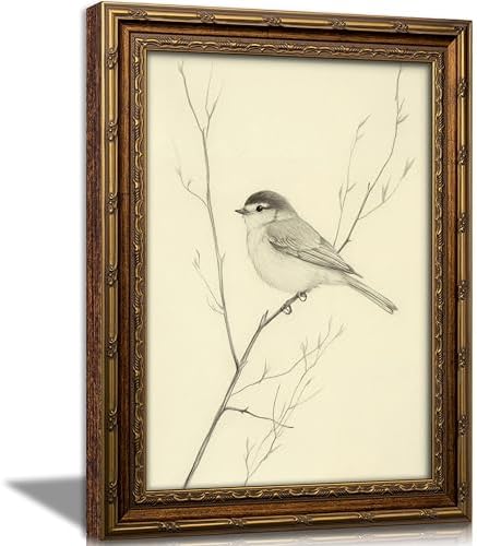 Vintage Gold Framed Bird Wall Art, Minimalist Bird on Branch Sketch Canvas Print, Spring Nature Line Drawing Wall Decor, Antique Animal Beige Picture Poster, Rustic Farmhouse Artwork for Living Room