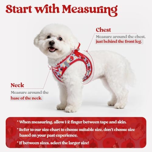 rabbitgoo Dog Harness Medium Sized and Leash Set, Step-in Puppy Pet Vest