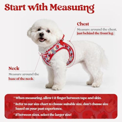 rabbitgoo Dog Harness Small Sized and Leash Set, Step-in Puppy Pet Vest