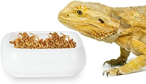 Ceramic Reptile Food Bowls, Reptile Water Food Dish (White, Large-1Pack)