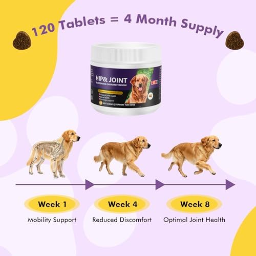 Hip&Joint Support Chews for Dogs,Glucosamine Chondroitin MSM,120 Count