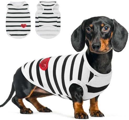 Queenmore Small Dog Shirt,Soft Breathable Dog Shirt for Dogs Cats Boy Girl,Pet Clothes for All Season,Breathable Lightweight Pet Tshirt for Frenchie, Dachshund, Yorkie
