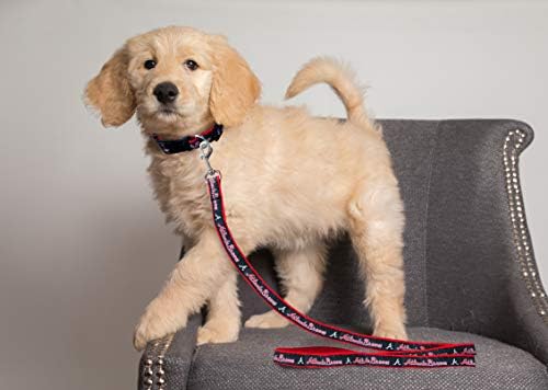 Atlanta Braves Satin Leash, Team Name