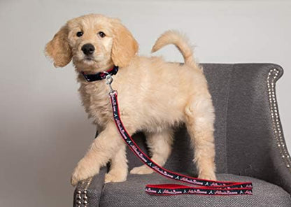 Atlanta Braves Satin Leash, Team Name