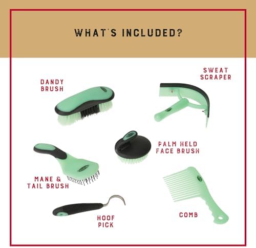 Weaver Equine 6-Piece Horse Grooming Kit, Ergonomic Gentle Horse Care Kit, Equestrian Supplies for Bathing Support, Detangling, and More, Mint/Gray