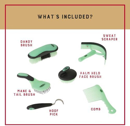 Weaver Equine 6-Piece Horse Grooming Kit, Ergonomic Gentle Horse Care Kit, Equestrian Supplies for Bathing Support, Detangling, and More, Mint/Gray