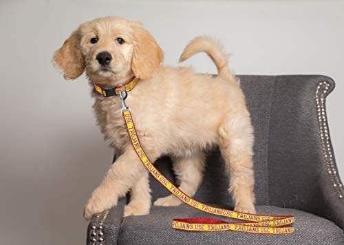 NCAA PET Leash, Small, USC Trojans, Shiny & Colorful Leash for Dogs & Cats Licensed by The NCAA