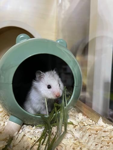 TUTU&LELE Hamster Hideout Space Elf Nest, Tiny House Bed with Round Plush Pad for Hamsters, Mice, Gerbils to Sleep & Play (Green)