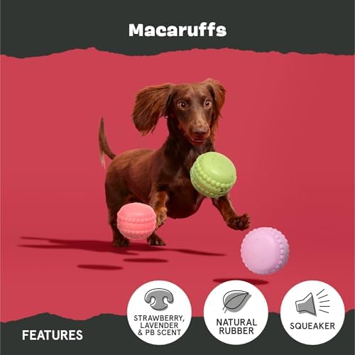 BarkBox Macaruffs - for Small Dogs
