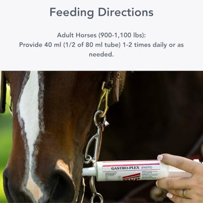 MVP Gastro-Plex Paste Gastric Stress Relief Paste for Horses