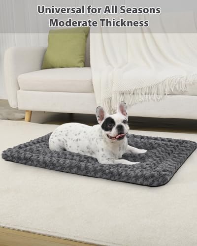 Exsnugy Washable Dog Bed Mat Medium Size Fluffy Pet Crate Pad 24x18