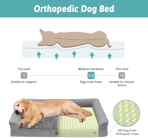 COZY KISS Orthopedic Dog Bed for Extra Large Dogs, U Shaped XXL 48x32 inch