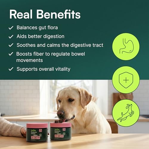 Wuffes Probiotic Chews for Dogs, Gut & Immune Support (2-Pack)