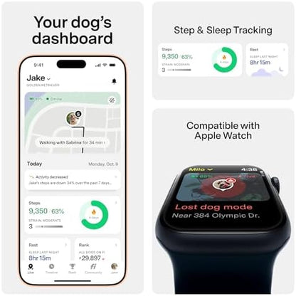 Fi Series 3+ GPS Dog Collar & Tracker, 12-Mo Membership Included, Blue XS