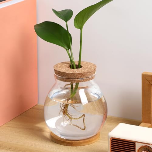 Balacoo Desktop Hydroponic Fish Bowl - Clear Glass Small Fish Tank