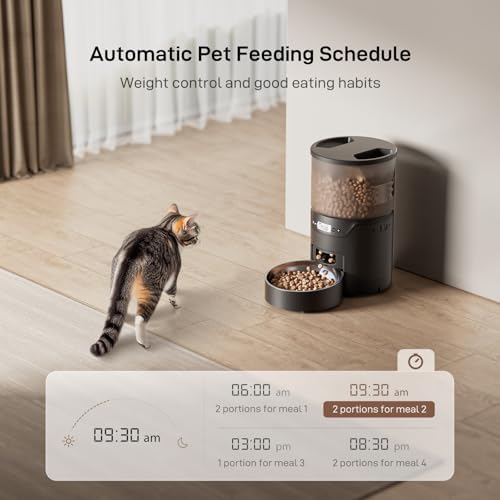 IMIPAW PET Automatic Cat Feeder: 3L Auto Food Dispenser with Timed Feeding| 6 Meal Programmable& 1-20 Portion Precise Control- Easy to Clean for Cat Indoor| Desiccant Keep Food Fresh with Staiess Bowl